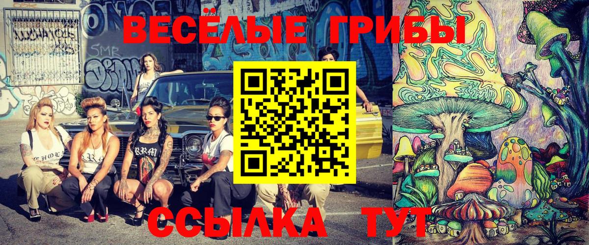 Галлюциногенные грибы Psilocybe Дивногорск